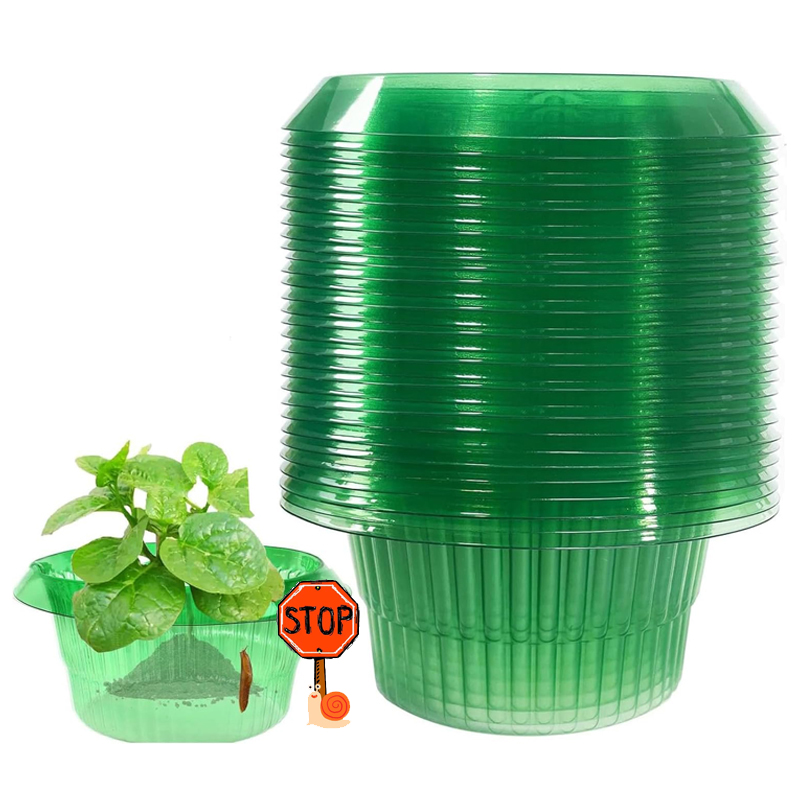 5-25 pçs plantas slug proteção - Plant Parents avaliação e preço