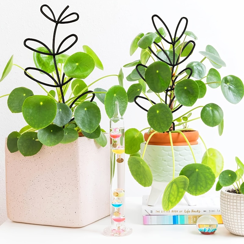 3 pçs quadro de suporte de pla - Plant Parents avaliação e preço